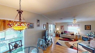 144 Tiger Lilly Dr, Parrish, FL 34219 - photo 4