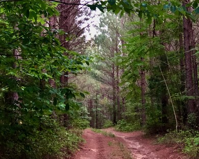 0 Hurricane Creek Rd unit RTC2596234, Linden, TN 37096 - photo 3