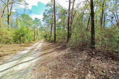 0 San Peoro Dr unit 315966, Crawfordville, FL 32327 - photo 7