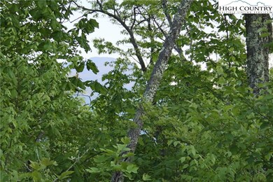 TBD Morgan's Ridge Drive #9 (Morgan's Ridge In Echota), Banner Elk, NC 28604 - photo 6