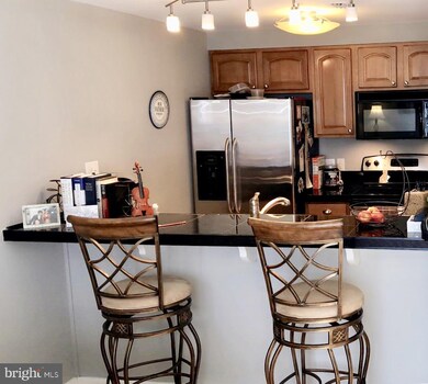 Residences At Henderson's unit 433, Baltimore, MD 21231 - photo 3