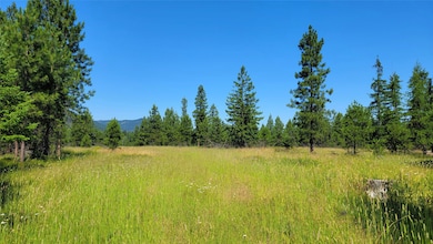 Nhn Trout Creek Rd, Trout Creek, MT 59874 - photo 3