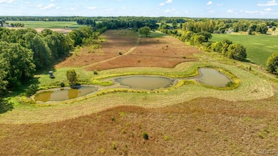 1704 E Carleton Rd, Adrian, MI 49221 - photo 6