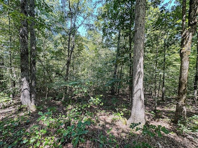 0 Chapman Rd, Falkner, MS 38629 - photo 4