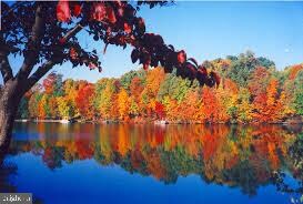 2520 Freetown Dr, Reston, VA 20191 - photo 3