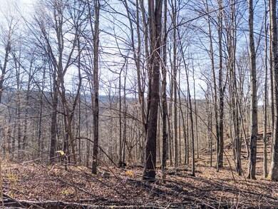 Lt 9 Hickory Hill Sec S Fork, Slaty Fork, WV 26505 - photo 7