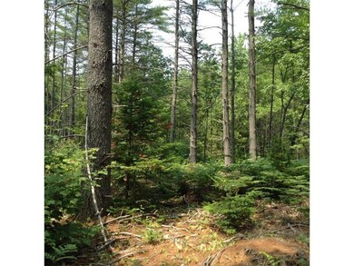 0 Empire, Poland, ME 04274 - photo 4