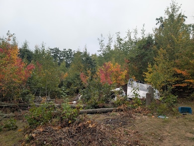 V/L 10AC Reilly Rd, Denton Township, MI 48651 - photo 5