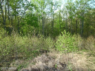 1777 Courthouse Rd, Stafford, VA 22554 - photo 7