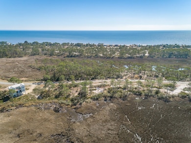 153 Hidden Harbor Dr, Alligator Point, FL 32346 - photo 7