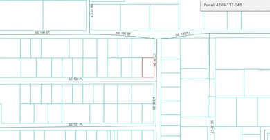 Lot 45 SE 130th Place, Belleview, FL 34420 - photo 3