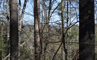 Additional View