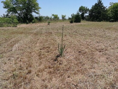 12025 Skyridge Dr, Guthrie, OK 73044 - photo 4