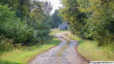 0 Emmett Ayers Rd, Grant, AL 35747 - photo 4