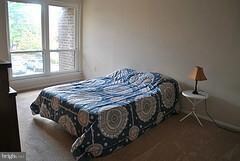 5402 Smooth Meadow Way, Columbia, MD 21044 - photo 5