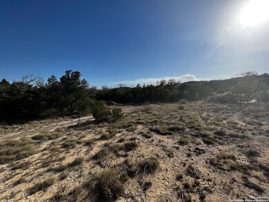 22616 Los Altos Ln, San Antonio, TX 78255 - photo 4