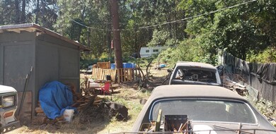 more pic of back yard