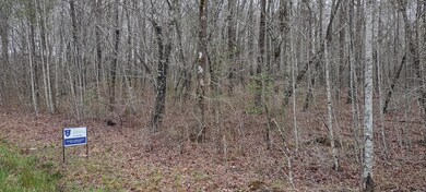IMG_20240410_112052387_HDR