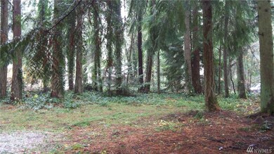 22003 N Clear Lake Blvd SE, Yelm, WA 98597 - photo 5