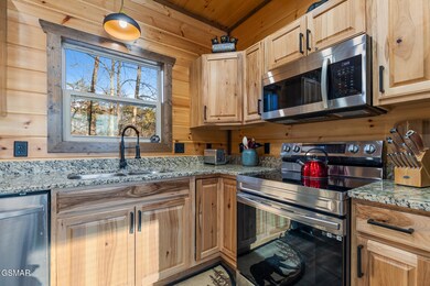 2986 Gina_s Way - SEVIERVILLE-7