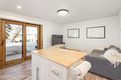 424 Park Cir unit B, Aspen, CO 81611 - photo 3