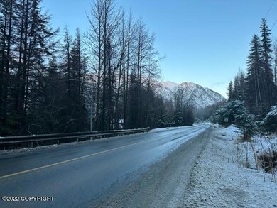 17881 Sterling Hwy, Cooper Landing, AK 99572 - photo 2