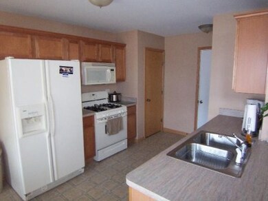 10015 Gettler St, Dyer, IN 46311 - photo 5