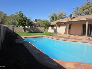 back yard and patio
