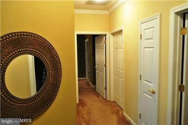 1595 Homeland Dr unit 1D, Sykesville, MD 21784 - photo 6