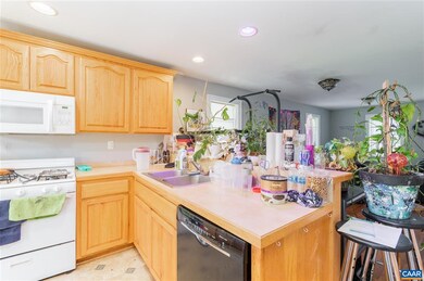 914 Henry Ave, Charlottesville, VA 22903 - photo 6