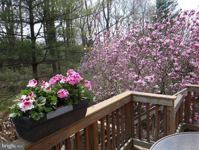 2001 Gervais Dr, Falls Church, VA 22043 - photo 3