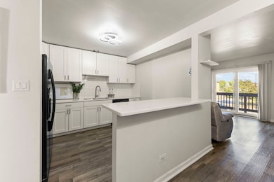 1002 Spruce St unit 2B, Glendale Heights, IL 60139 - photo 6