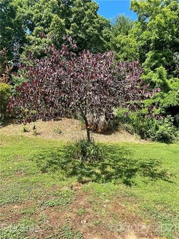 75 Hampton Rd, Leicester, NC 28748 - photo 3