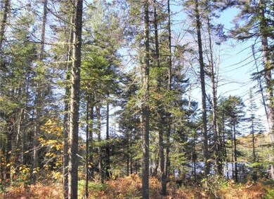 wooded