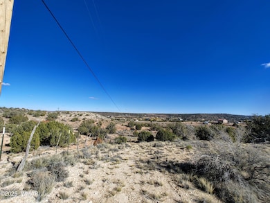 Parcels123 W Shumway Rd, Taylor, AZ 85901 - photo 2