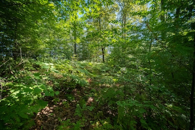 0 Emerald Ridge unit 29 22036088, Onekama Township, MI 49675 - photo 4