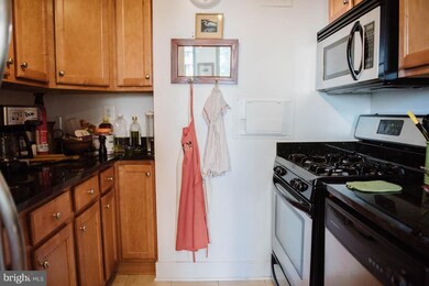 Mica Condominiums unit 206, Silver Spring, MD 20910 - photo 3