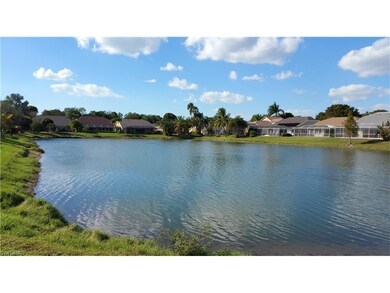 Lake in Backyard
