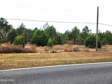 xxx Freeman Rd, Bristol, FL 32321 - photo 7