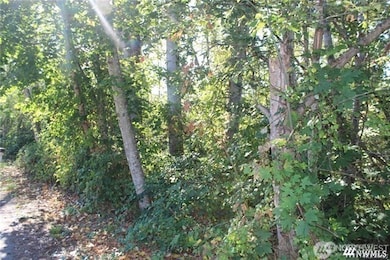 3085 W Maplewood Ave, Bellingham, WA 98225 - photo 2