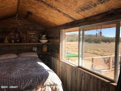 868 Serenity Ln, St. Johns, AZ 85936 - photo 4