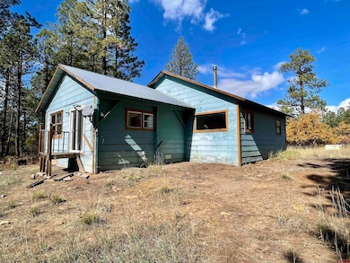 307 Deer Trail Rd, Durango, CO 81303 - photo 6