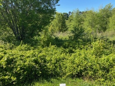 Lot 1 Hidden Falls Dr unit Lot 1, West Union, SC 29696 - photo 5