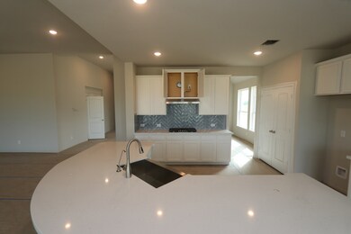 Gourmet island kitchen