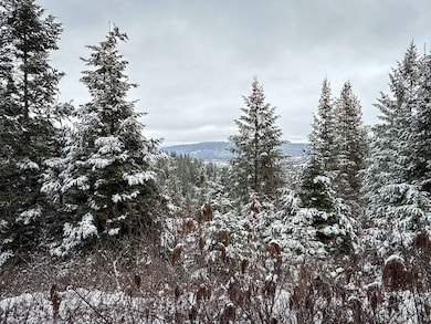 Tbd Deer Creek Rd, Valley, WA 99181 - photo 3