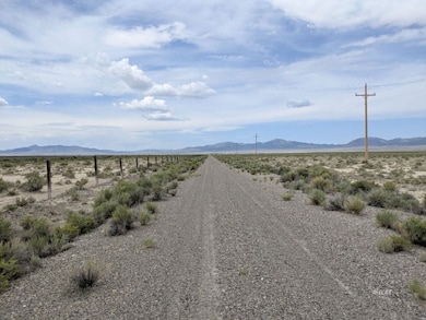 0 01059f041 unit 3626248, Montello, NV 89835 - photo 2