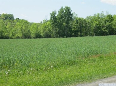 0 Wiltsie Bridge Rd unit 103258, Ancram, NY 12502 - photo 6