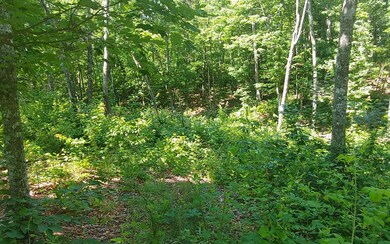 0 Hilton Dr unit 325899, Ellijay, GA 30540 - photo 5