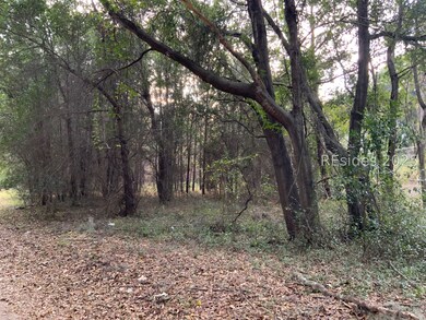 37 Pearl Harbor Dr, Saint Helena Island, SC 29920 - photo 5