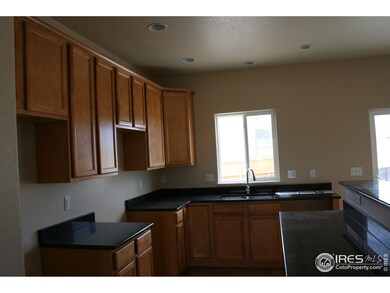 162 Tartan Dr, Johnstown, CO 80534 - photo 7